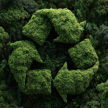 Environmental Label